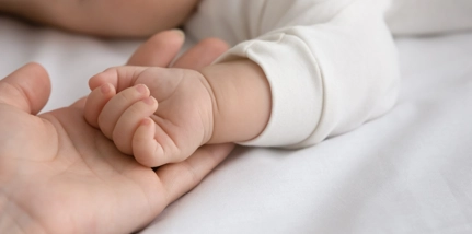 Babys Hand In Mothers